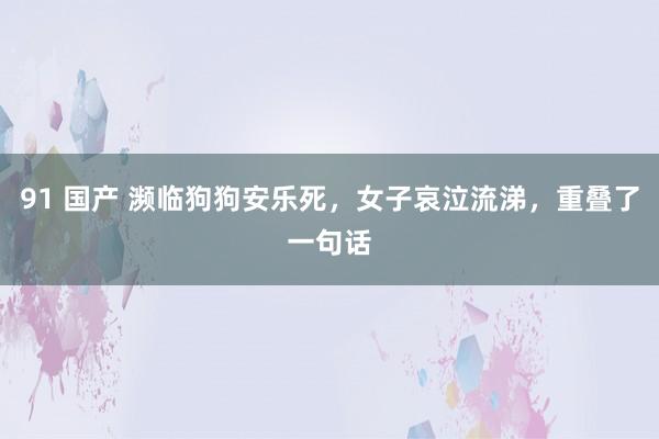 91 国产 濒临狗狗安乐死，女子哀泣流涕，重叠了一句话