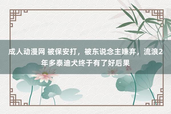 成人动漫网 被保安打，被东说念主嫌弃，流浪2年多泰迪犬终于有了好后果