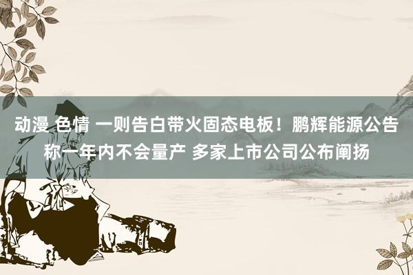 动漫 色情 一则告白带火固态电板！鹏辉能源公告称一年内不会量产 多家上市公司公布阐扬