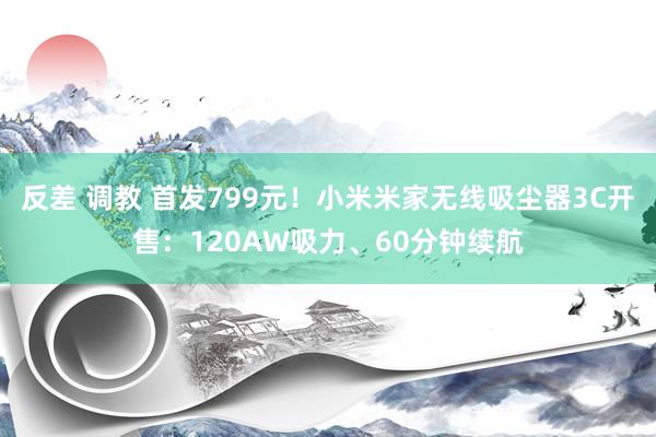 反差 调教 首发799元！小米米家无线吸尘器3C开售：120AW吸力、60分钟续航