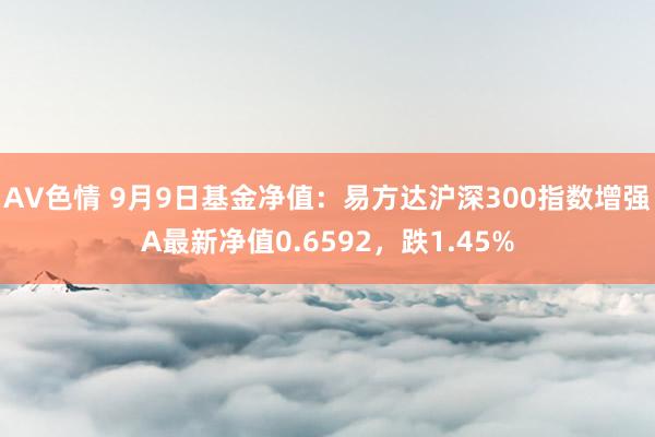 AV色情 9月9日基金净值：易方达沪深300指数增强A最新净值0.6592，跌1.45%