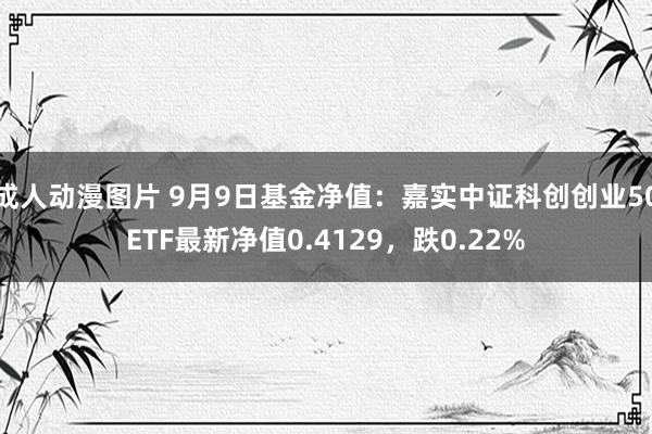 成人动漫图片 9月9日基金净值：嘉实中证科创创业50ETF最新净值0.4129，跌0.22%