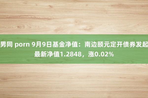 男同 porn 9月9日基金净值：南边颐元定开债券发起最新净值1.2848，涨0.02%