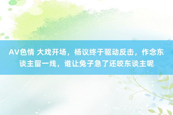 AV色情 大戏开场，杨议终于驱动反击，作念东谈主留一线，谁让兔子急了还咬东谈主呢