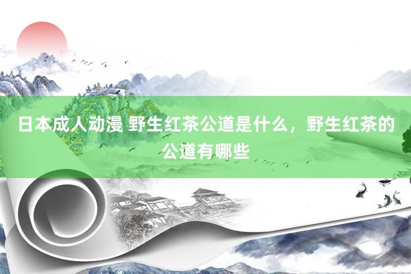 日本成人动漫 野生红茶公道是什么，野生红茶的公道有哪些