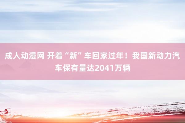 成人动漫网 开着“新”车回家过年！我国新动力汽车保有量达2041万辆