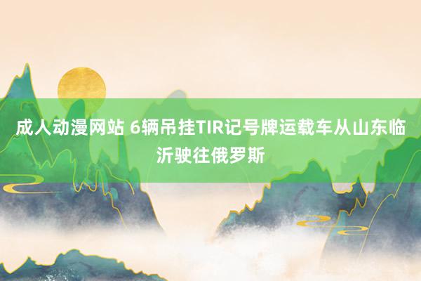 成人动漫网站 6辆吊挂TIR记号牌运载车从山东临沂驶往俄罗斯