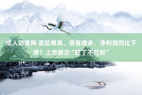 成人动漫网 景区爆满、搭客增多，净利润同比下滑？上市旅企“旺丁不旺财”