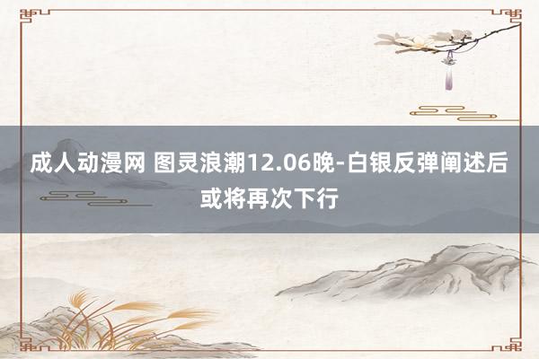 成人动漫网 图灵浪潮12.06晚-白银反弹阐述后或将再次下行