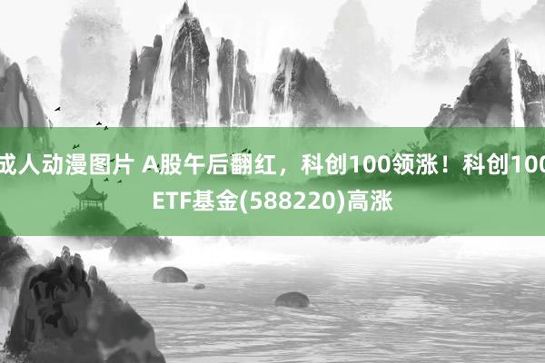 成人动漫图片 A股午后翻红，科创100领涨！科创100ETF基金(588220)高涨