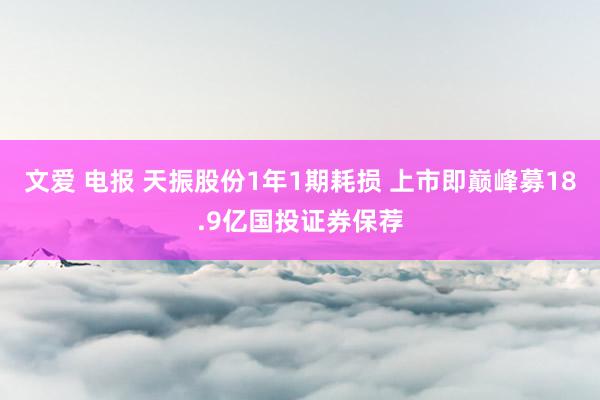 文爱 电报 天振股份1年1期耗损 上市即巅峰募18.9亿国投证券保荐