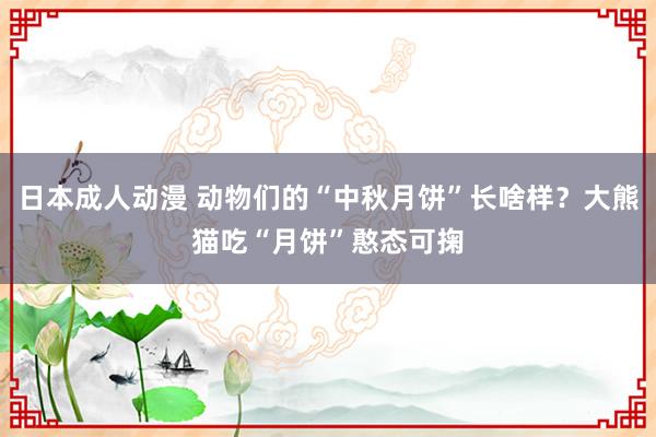 日本成人动漫 动物们的“中秋月饼”长啥样？大熊猫吃“月饼”憨态可掬