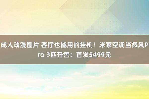 成人动漫图片 客厅也能用的挂机！米家空调当然风Pro 3匹开售：首发5499元