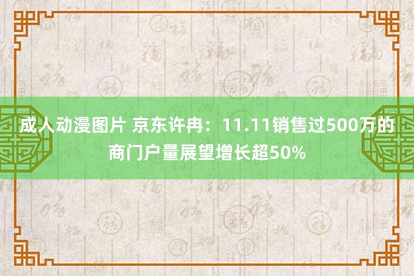 成人动漫图片 京东许冉：11.11销售过500万的商门户量展望增长超50%