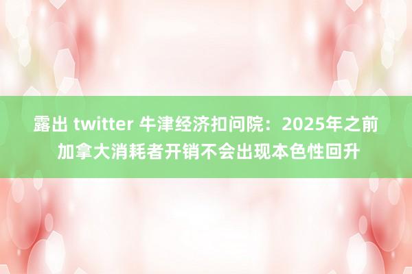 露出 twitter 牛津经济扣问院：2025年之前 加拿大消耗者开销不会出现本色性回升