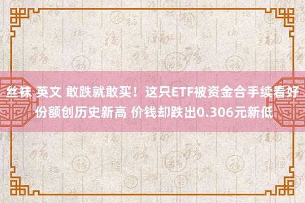 丝袜 英文 敢跌就敢买！这只ETF被资金合手续看好 份额创历史新高 价钱却跌出0.306元新低