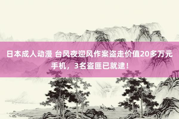 日本成人动漫 台风夜迎风作案盗走价值20多万元手机，3名盗匪已就逮！