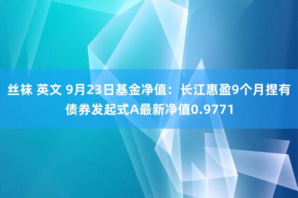 丝袜 英文 9月23日基金净值：长江惠盈9个月捏有债券发起式A最新净值0.9771