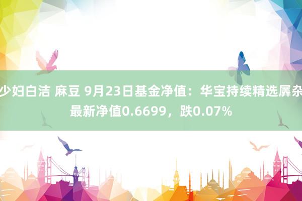 少妇白洁 麻豆 9月23日基金净值：华宝持续精选羼杂最新净值0.6699，跌0.07%