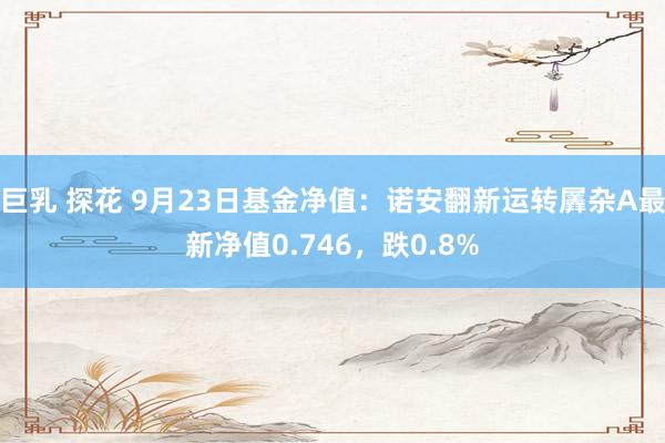 巨乳 探花 9月23日基金净值：诺安翻新运转羼杂A最新净值0.746，跌0.8%