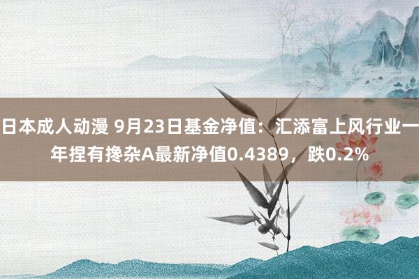 日本成人动漫 9月23日基金净值：汇添富上风行业一年捏有搀杂A最新净值0.4389，跌0.2%