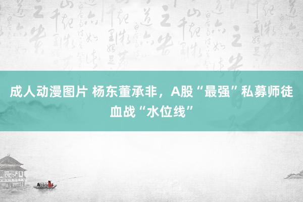 成人动漫图片 杨东董承非，A股“最强”私募师徒血战“水位线”