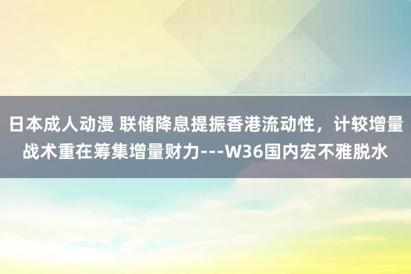 日本成人动漫 联储降息提振香港流动性，计较增量战术重在筹集增量财力---W36国内宏不雅脱水