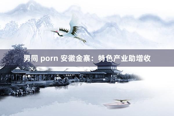 男同 porn 安徽金寨：特色产业助增收