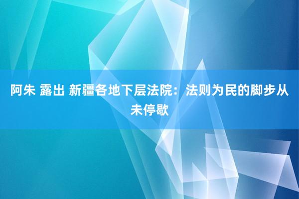 阿朱 露出 新疆各地下层法院：法则为民的脚步从未停歇