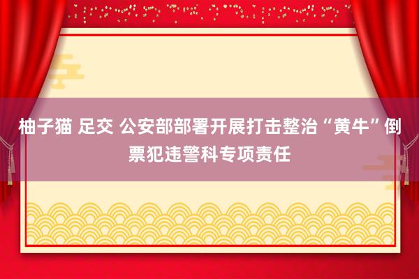 柚子猫 足交 公安部部署开展打击整治“黄牛”倒票犯违警科专项责任