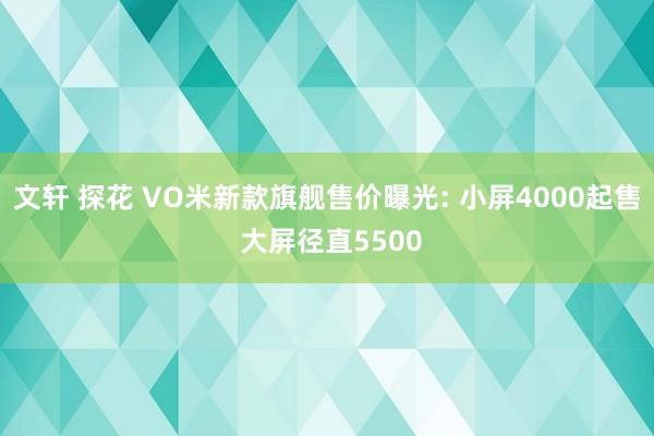 文轩 探花 VO米新款旗舰售价曝光: 小屏4000起售 大屏径直5500