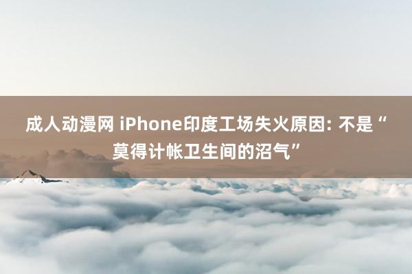 成人动漫网 iPhone印度工场失火原因: 不是“莫得计帐卫生间的沼气”