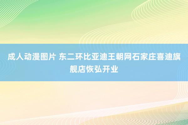 成人动漫图片 东二环比亚迪王朝网石家庄喜迪旗舰店恢弘开业