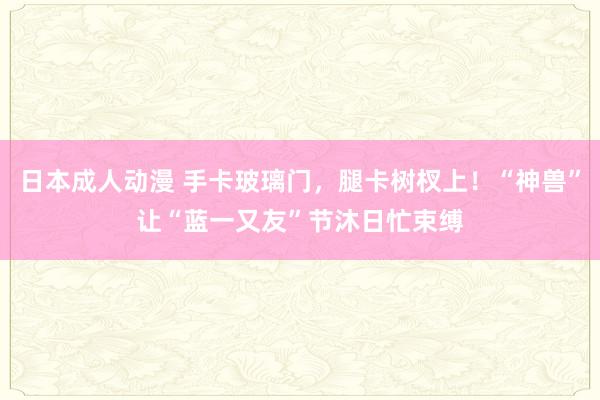 日本成人动漫 手卡玻璃门，腿卡树杈上！“神兽”让“蓝一又友”节沐日忙束缚