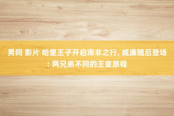 男同 影片 哈里王子开启南非之行， 威廉随后登场: 两兄弟不同的王室旅程