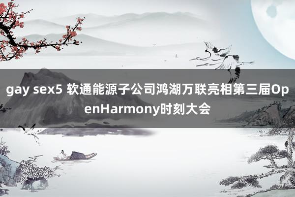 gay sex5 软通能源子公司鸿湖万联亮相第三届OpenHarmony时刻大会