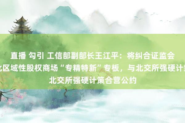 直播 勾引 工信部副部长王江平：将纠合证监会推出第三批区域性股权商场“专精特新”专板，与北交所强硬计策合营公约