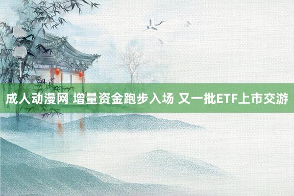 成人动漫网 增量资金跑步入场 又一批ETF上市交游