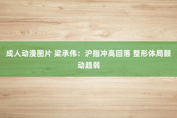 成人动漫图片 梁承伟：沪指冲高回落 整形体局颤动趋弱