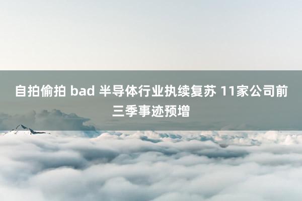 自拍偷拍 bad 半导体行业执续复苏 11家公司前三季事迹预增