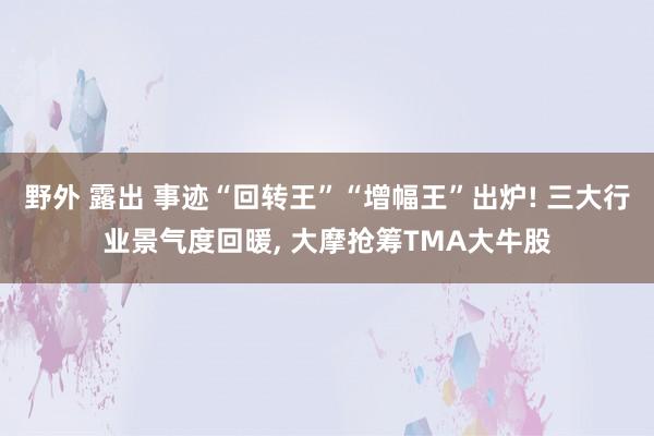 野外 露出 事迹“回转王”“增幅王”出炉! 三大行业景气度回暖， 大摩抢筹TMA大牛股