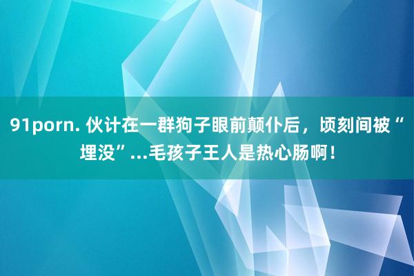 91porn. 伙计在一群狗子眼前颠仆后，顷刻间被“埋没”...毛孩子王人是热心肠啊！