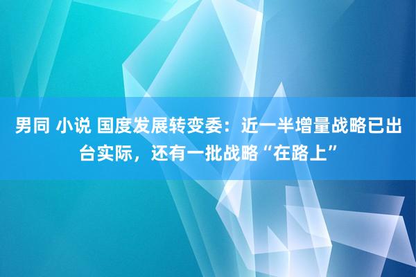 男同 小说 国度发展转变委：近一半增量战略已出台实际，还有一批战略“在路上”