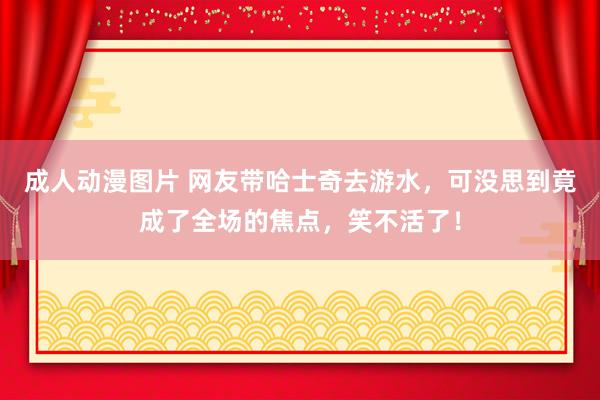 成人动漫图片 网友带哈士奇去游水，可没思到竟成了全场的焦点，笑不活了！