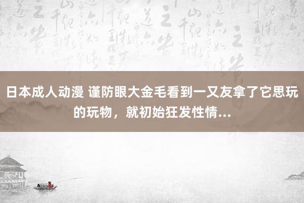 日本成人动漫 谨防眼大金毛看到一又友拿了它思玩的玩物，就初始狂发性情...