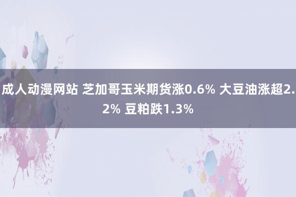 成人动漫网站 芝加哥玉米期货涨0.6% 大豆油涨超2.2% 豆粕跌1.3%