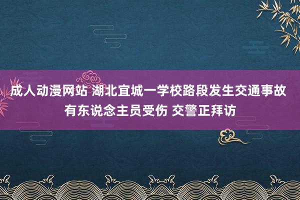 成人动漫网站 湖北宜城一学校路段发生交通事故 有东说念主员受伤 交警正拜访