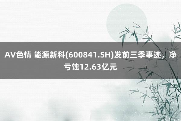 AV色情 能源新科(600841.SH)发前三季事迹，净亏蚀12.63亿元