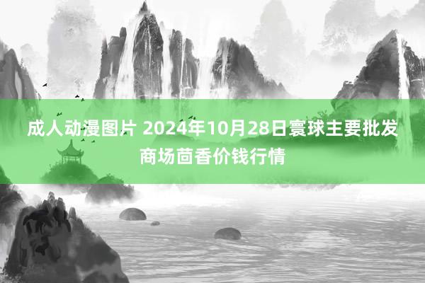 成人动漫图片 2024年10月28日寰球主要批发商场茴香价钱行情