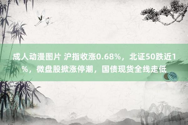 成人动漫图片 沪指收涨0.68%，北证50跌近1%，微盘股掀涨停潮，国债现货全线走低